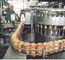 Drain Solutions for the Food Processing Industry