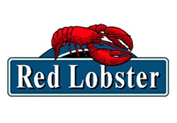 Drain-Net Case Study - Red Lobster