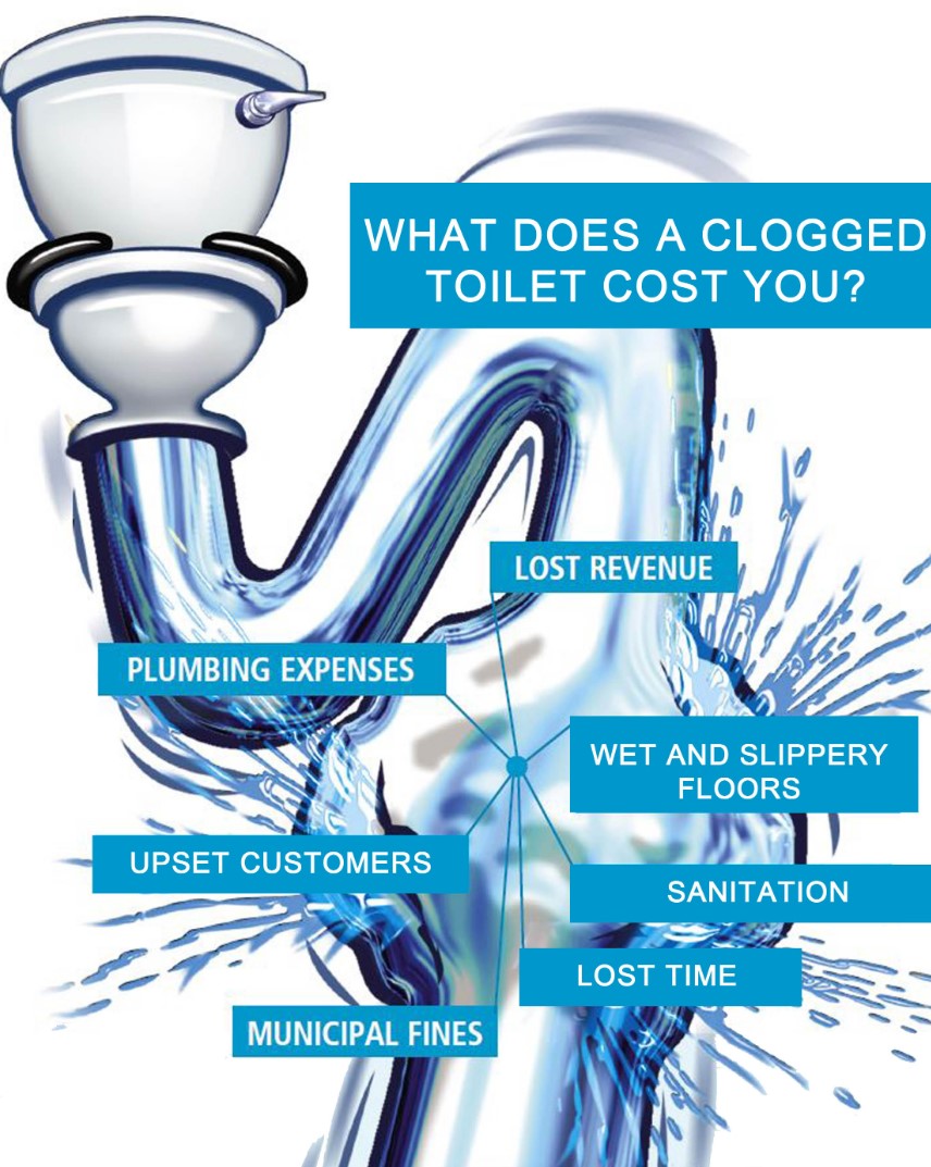 what does a clogged toilet cost you