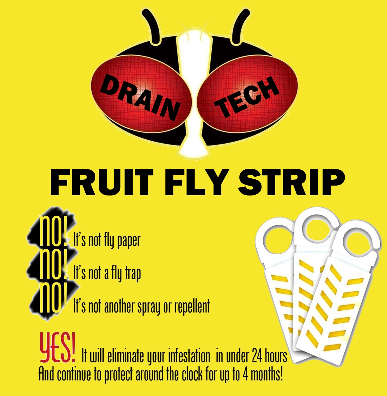 Fruit Fly Insecticide Vapor Strip (10-Pack)