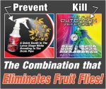 combo_deal_fruit_flies-web2 Fruit Flies | Drain-Net